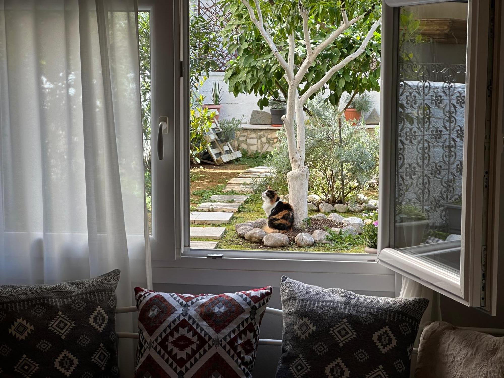 Νόστος Στο Κέντρο Των Ιωαννίνων Appartement Ioannina Buitenkant foto